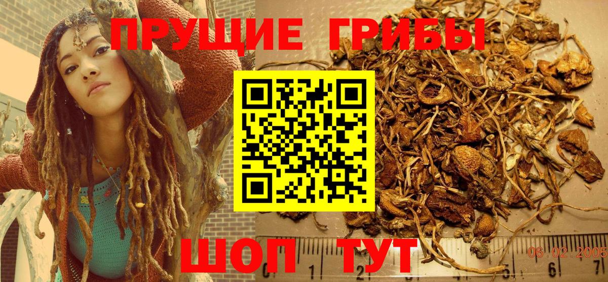 Псилоцибиновые грибы мухоморы  Галлюциногенные грибы Psilocybe  сколько стоит  Елец  Вход с VPN 
