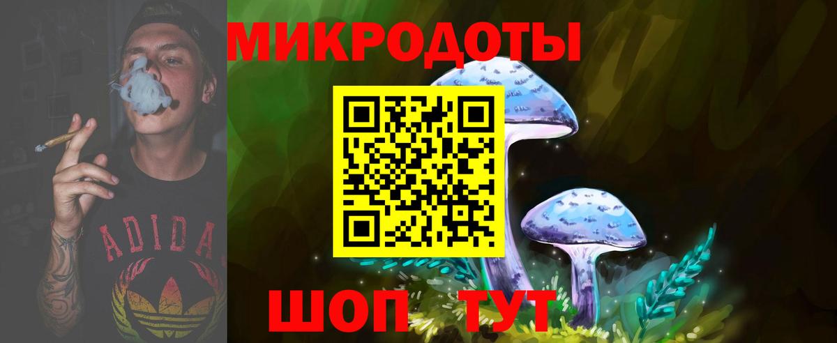 Галлюциногенные грибы мухоморы Елец